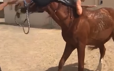 Try Not to Laugh 2025 Top 100 Memes, Fails & Pranks Part 1