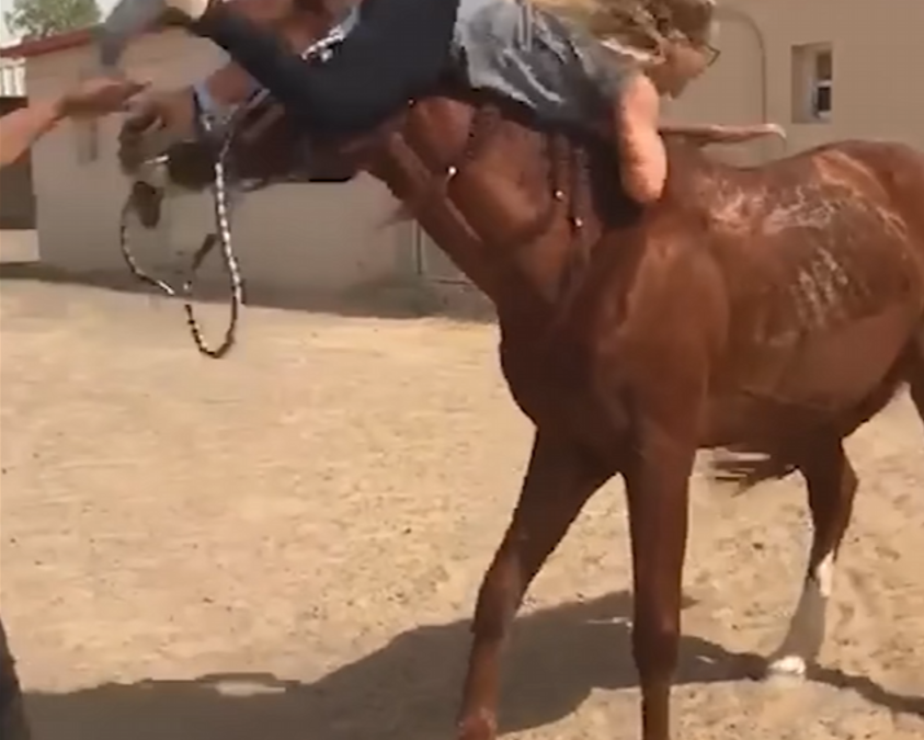 Try Not to Laugh 2025 Top 100 Memes, Fails & Pranks Part 1